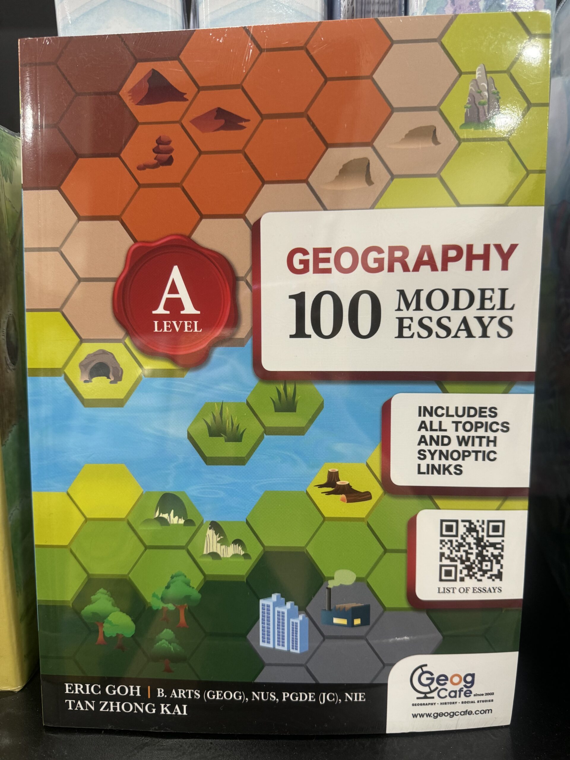 a level geography tuition
